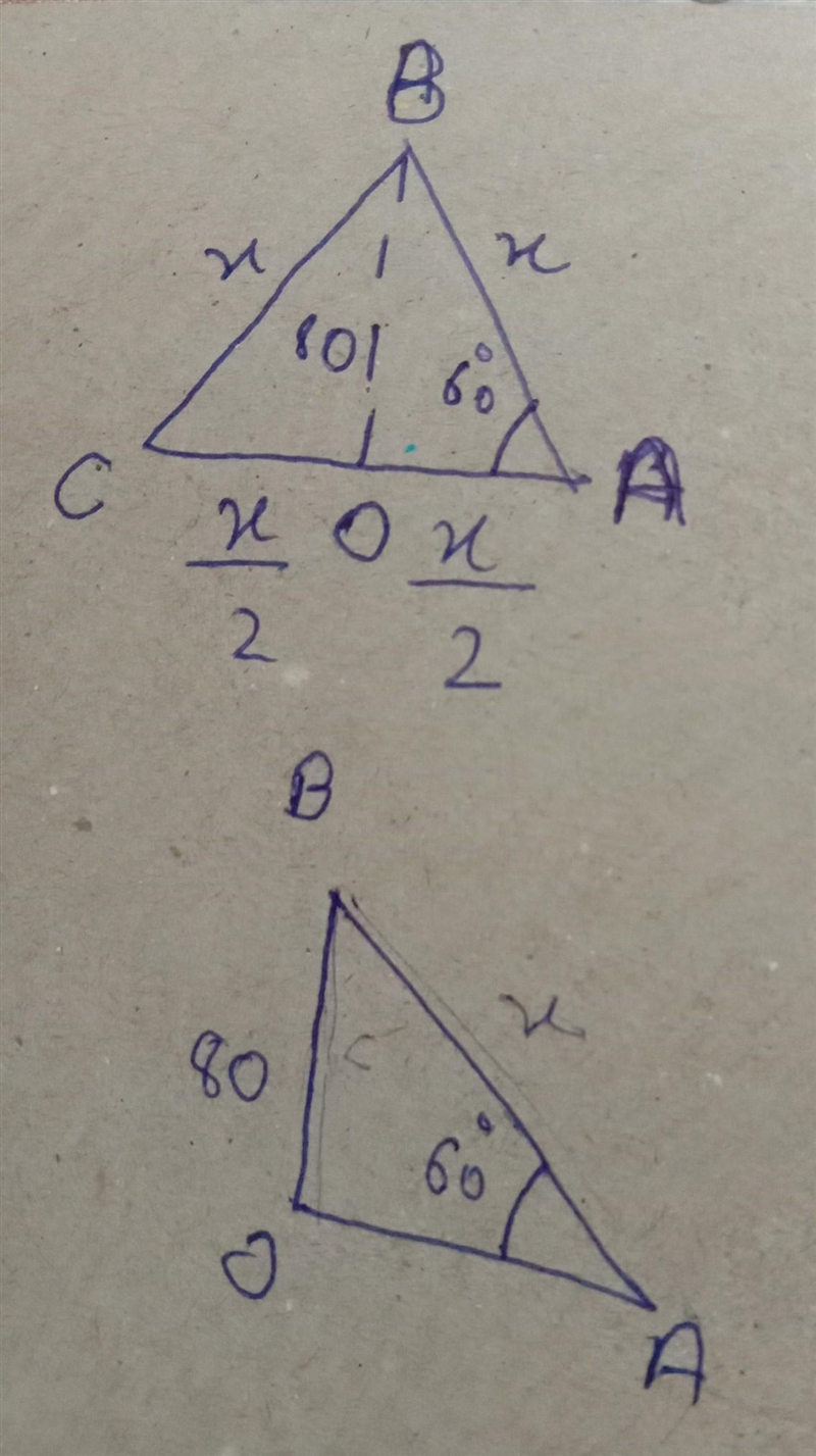 An equilateral triangle has the height BO= 80 cm. Considering, height BO splits the-example-1