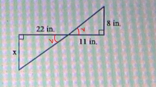 Explain why the triangles are similar. Then find the missing length, x. Choose the-example-1