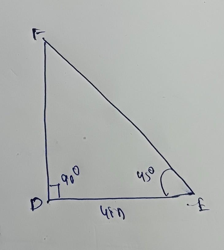 On a piece of paper, use a protractor to construct right triangle DEF with DE=4 in-example-1