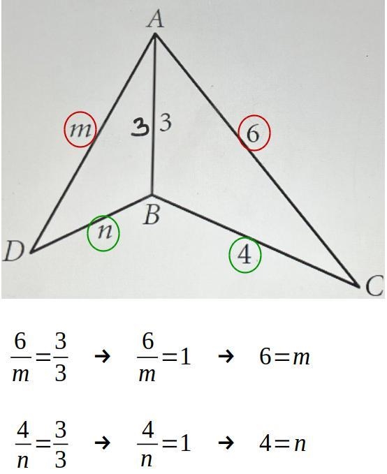 Can someone explain this to me? i have an answer key but don’t know how to do it-example-1