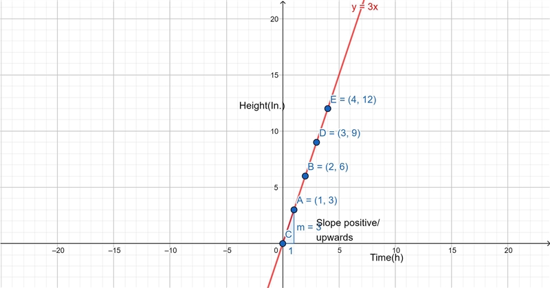 Read each situation carefully and then complete the table and graph then describe-example-1