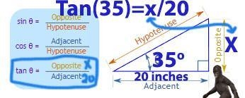 Louie is trying to find a rectangular canvas for his art project. Its width must measure-example-1