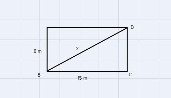 Find the shortest distance from D to B in the diagram below.A. √505 mB. 17 mC. 10 mD-example-1