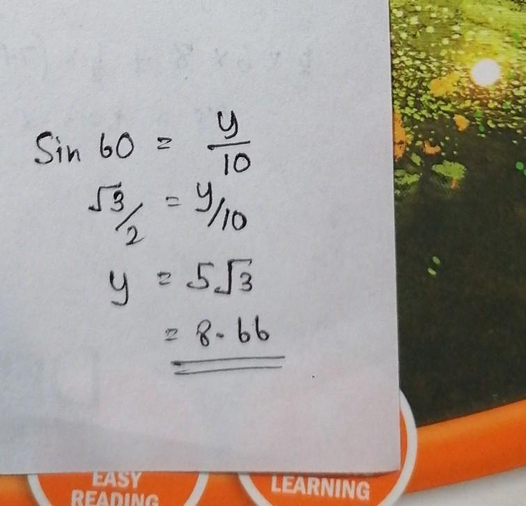 Find the value of Y in the triangle shown below-example-1