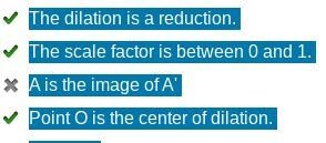 Which statements are accurate about the dilation? Check all that apply. The dilation-example-1