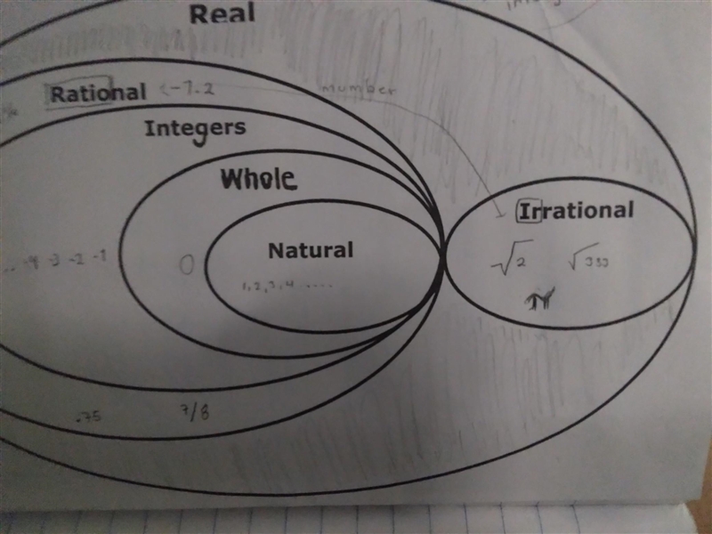 Is pi to the second power rational, real, irrational, integer, whole, or natural-example-1