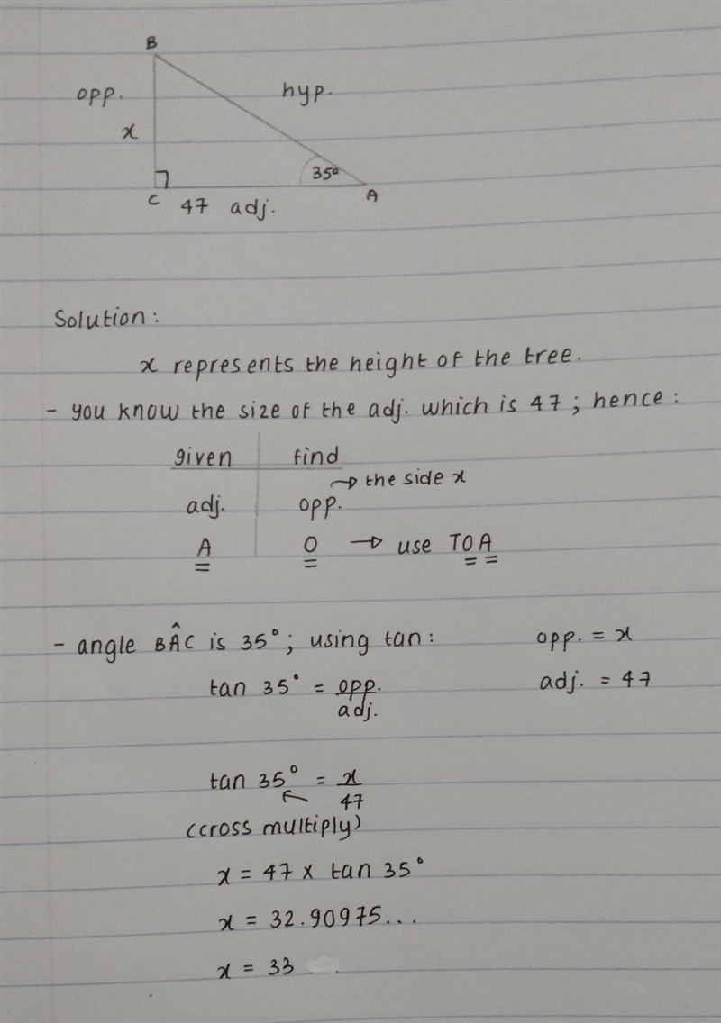 What is the height of the tree show all work-example-1