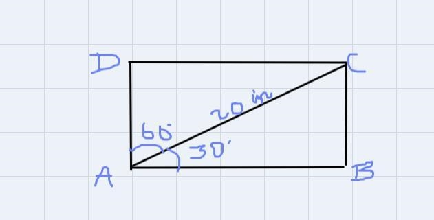 a rectangle has a diagonal 20 inches long that forms angles of 60 degrees and 30 degrees-example-1