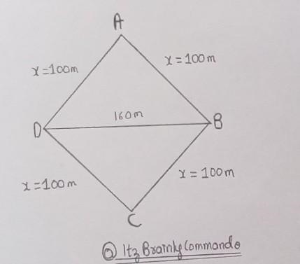 Sanya has a piece of land which is in the shape of a rhombus. She wants her one daughter-example-1