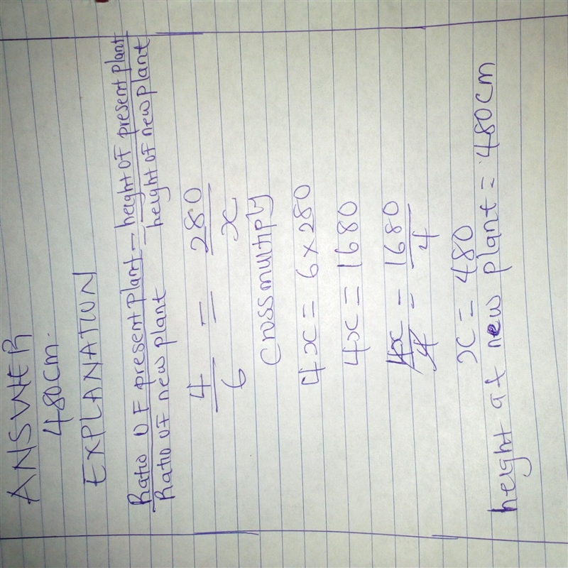 (PLEASE HELP) The height of a plants increase in the ratio 4 : 6. The height at present-example-1