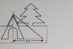 About how long is the rope from the ground to the tent?-example-1