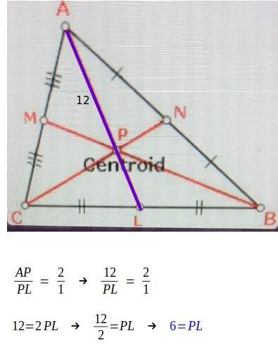 - [Medians and Centroid] If AP = 12, what is PL? 8,6,4,or 10​-example-1