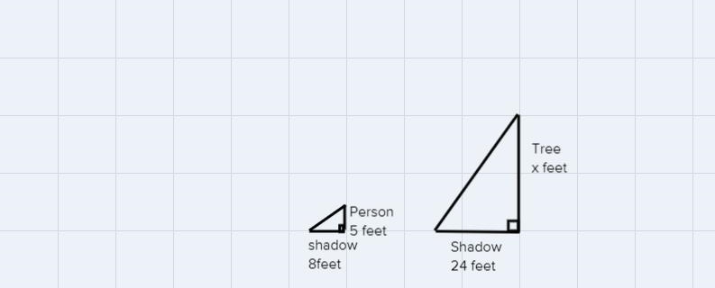 Find the height of the tree if the tree's shawdow is 24 feet, the stick person's height-example-1