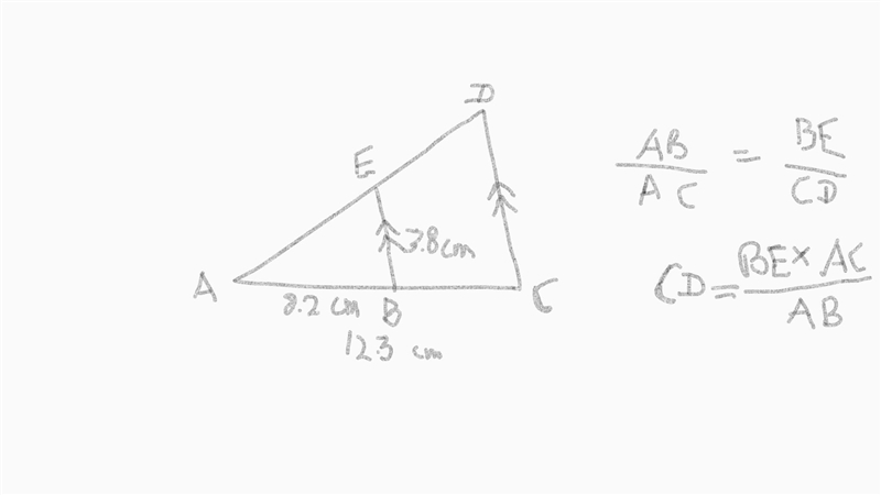 ABC and AED are straight lines. BE And CD are parallel AC= 12.3cm AB= 8.2cm BE= 3,8cm-example-1