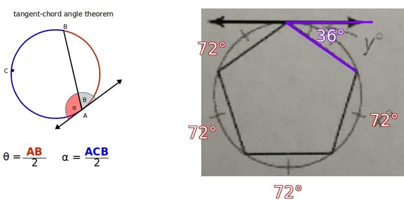 Find the value of the variables. Round your answer to the nearest tenth.-example-1