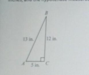 in the accompanying diagram the legs of the right triangle ABC measures 5 inches and-example-1