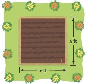 Some students can plant 9 carrots per square foot in the community garden shown. Write-example-1