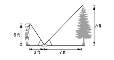 The figure shows a person estimating the height of a tree by looking at the top of-example-1