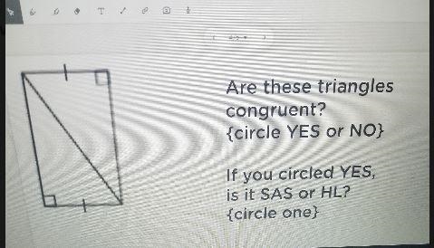 N Are these triangles congruent? {circle YES or NO} If you circled YES, is it SAS-example-1