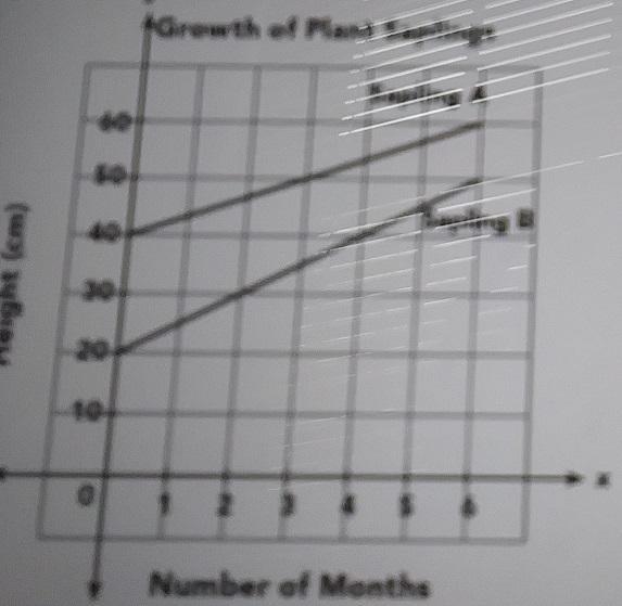 The growth of two plant saplings A and B were observed for a period of 6 months. The-example-1