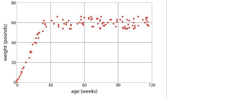 HELP ME PLS Here is a scatter plot Select all the following that describe the association-example-1