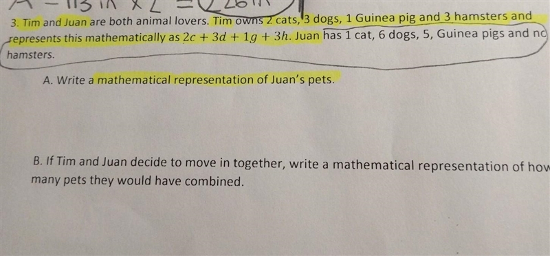 3. Tim and Juan are both animal lovers. Tim owns 2 cats, 3 dogs, 1 Guinea pig and-example-1