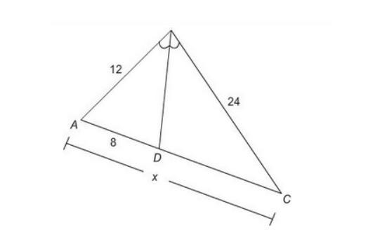 Find X. A. 32 B. 8 C. 16 D. 24-example-1