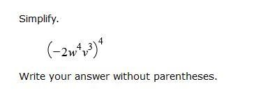 Pls help Simplify. (-2w^4v^3)^4 Write your answer without parentheses.-example-1