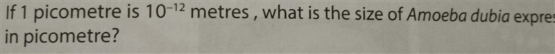What size is a Amoeba dubia expressed in picometre of 1 picometre is 0,0000000000001-example-1