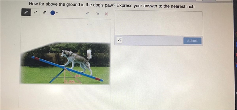 How far above the ground is the dog's paw? Express your answer to the nearest inch-example-1