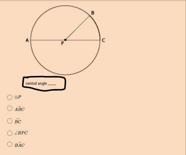 Please Help! There are 5 ss please answer all!!-example-2