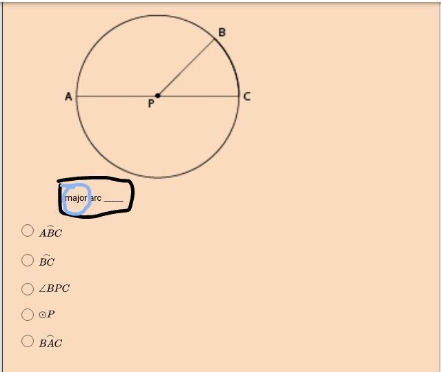 Please Help! There are 5 ss please answer all!!-example-4