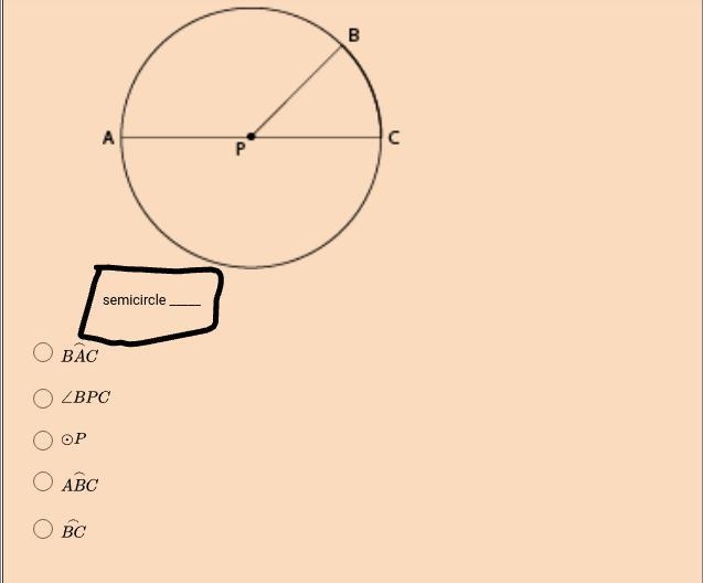 Please Help! There are 5 ss please answer all!!-example-5