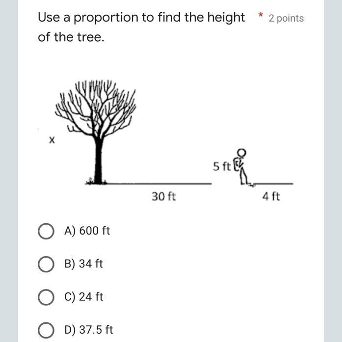 Use a proportion to find the height of the tree. * 2 points Captionless Image A) 600 ft-example-1