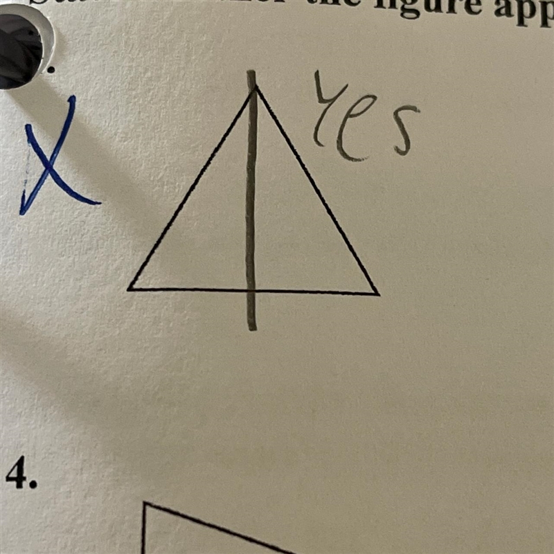 50 points help pls Question: state whether the figure appears to have a line symmetry-example-1