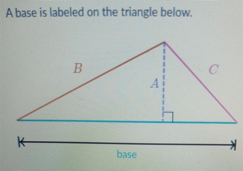 A base is labeled on the triangle below. B. C 7 * base Which line segment shows the-example-1