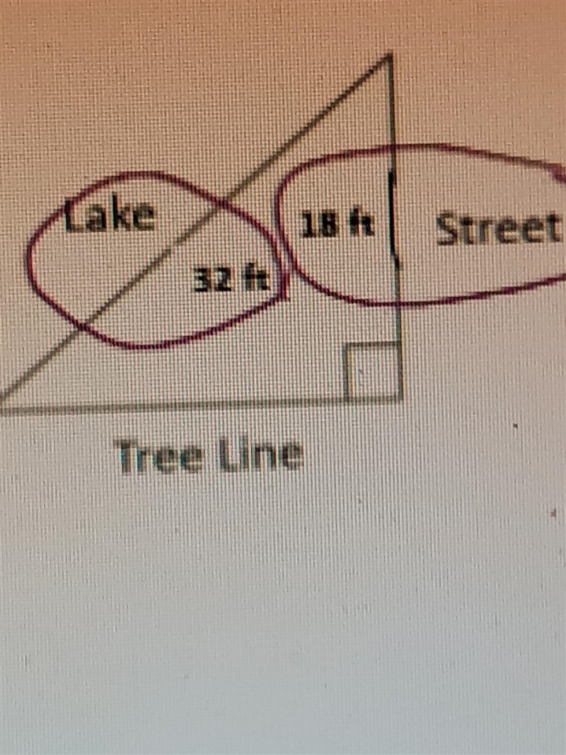 WILL MARK BRAINLESS IF YOU'RE RIGHT!!! "a field in the shape of a right triangle-example-1