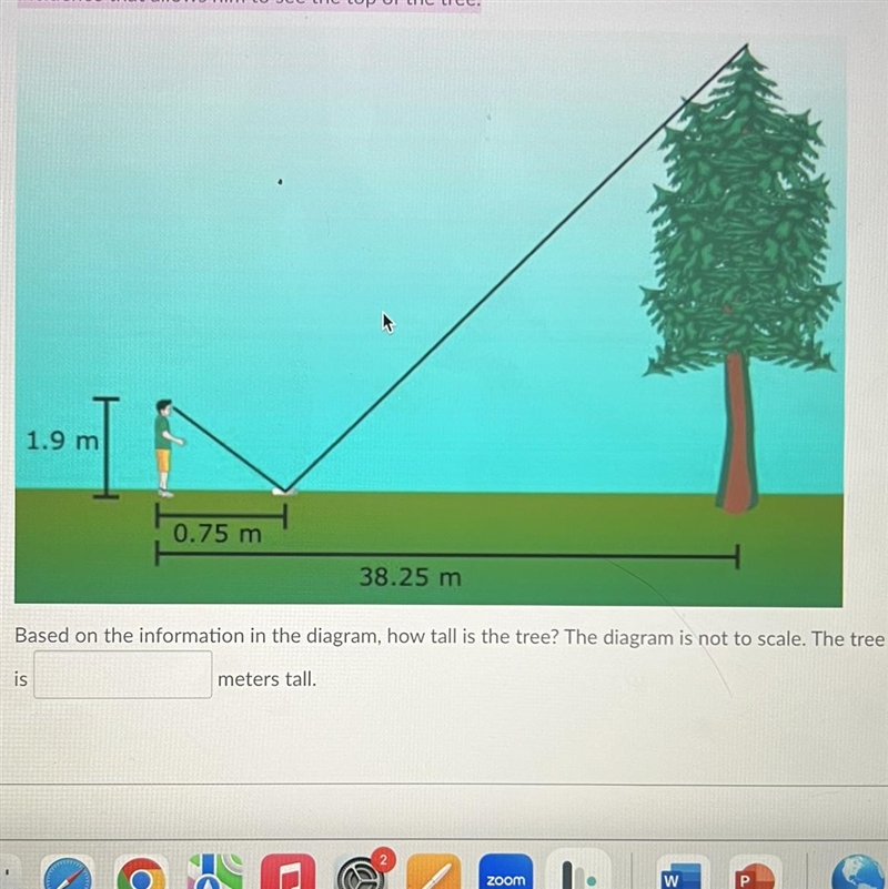 How many meters tall is the tree? Nate heard stories about the massive Sierra redwoods-example-1