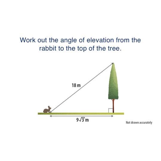 Work out the angle of elevation from the rabbit to the top of the tree. 18 m 9√3m-example-1