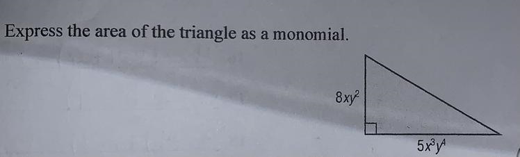 Express the area of the triangle as a monomial.-example-1