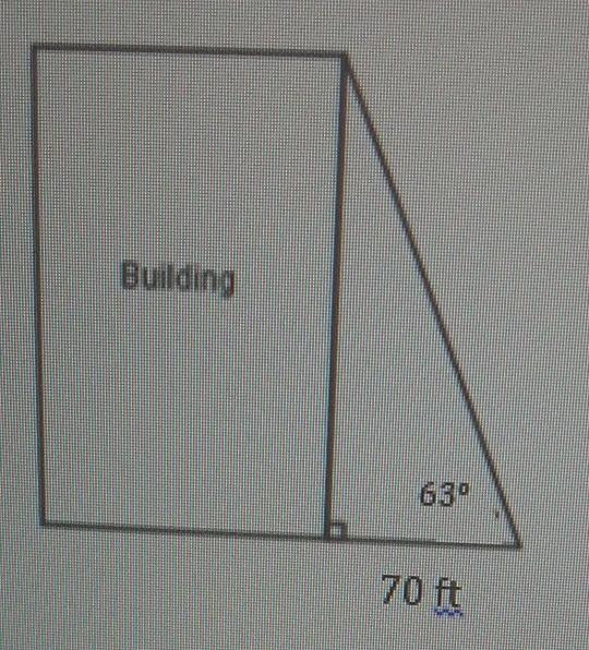 The students in Mr.Collins class used a surveyors measuring devices to find the angle-example-1