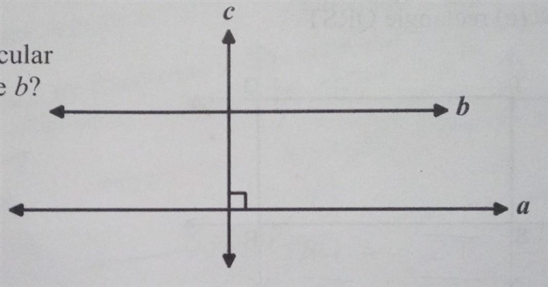 Lines a and b are parallel. Line c is perpendicular to line a. Must it also be perpendicular-example-1