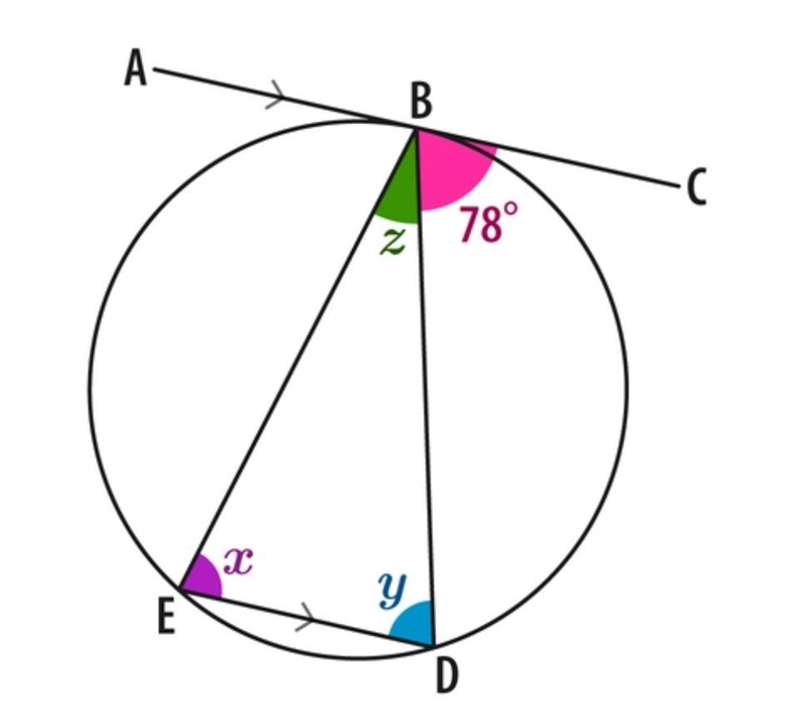 AC is a tangent to the circle below at point B. Calculate the sizes of angle x, angle-example-1