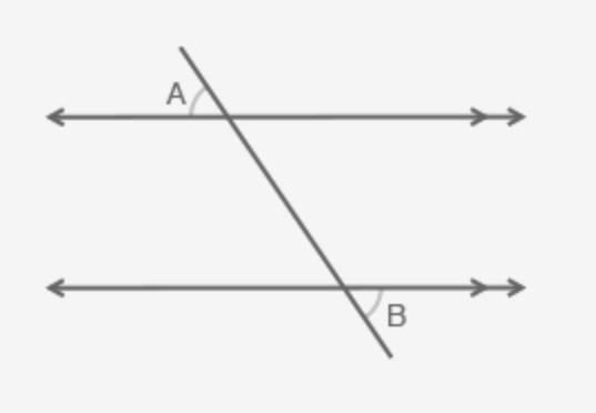 A pair of parallel lines is cut by a transversal. If m∠A = (5x − 4)° and m∠B = (8x-example-1