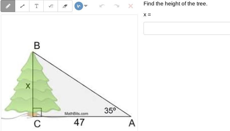 Find the height of the tree.-example-1