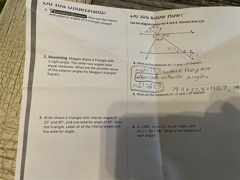 Pls help i dont understand angles-example-1