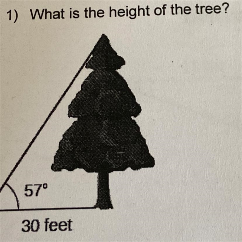 What is the height of the tree? 57° 30 feet-example-1