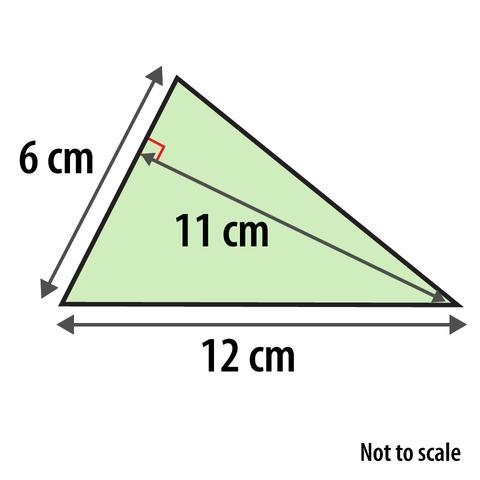 Work out the area of this triangle-example-1