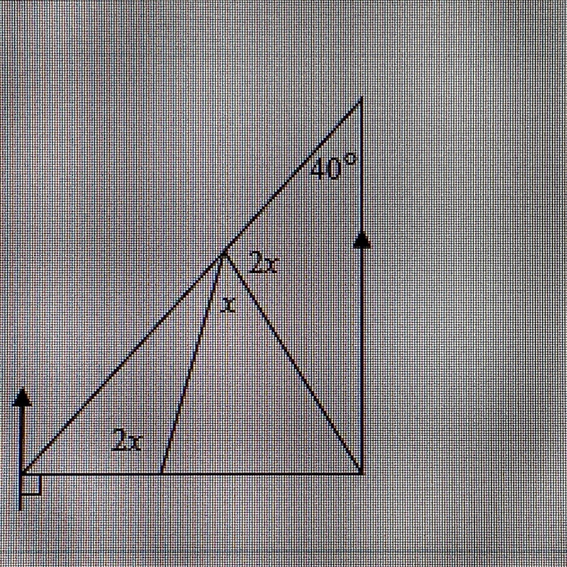 Label the vertices and all the elements needed. Find x. Give reasons!-example-1