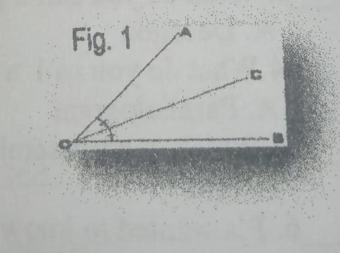 To bisect an angle what is the use of strength edge in figure 1?-example-1